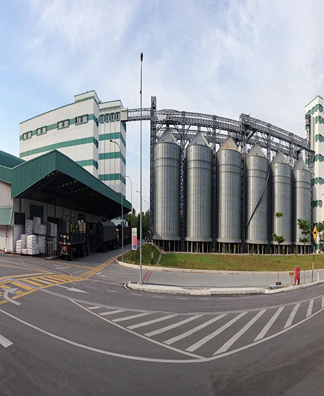 Malaysia Flour Mill 500 MT