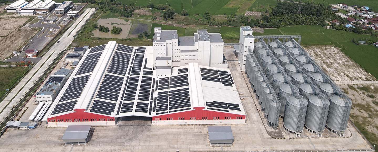 3x500TPD and 2x150TPD flour mill project in Medan Indonesia